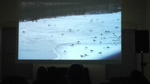 IMG_20161230_234925